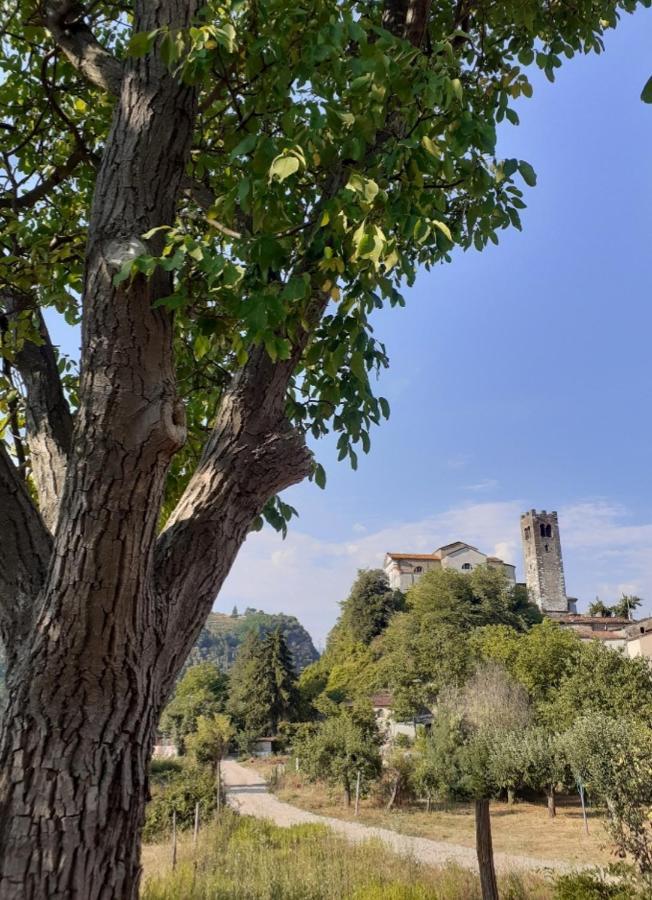 Ferienwohnung La Locanda Di Nonna Jolanda Borgo a Mozzano Exterior foto