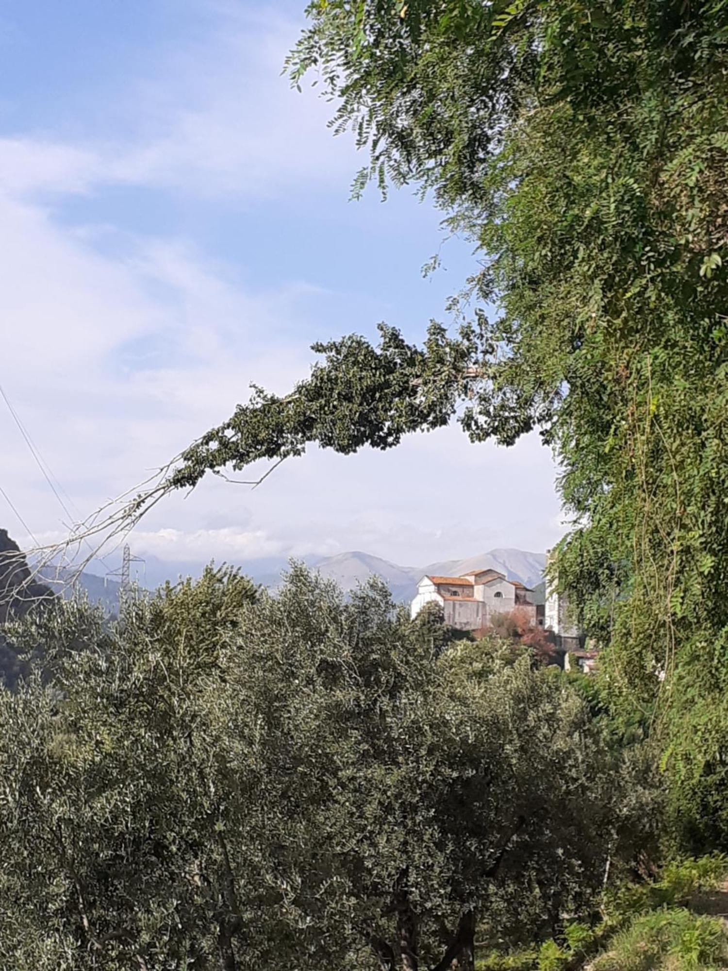 Ferienwohnung La Locanda Di Nonna Jolanda Borgo a Mozzano Exterior foto